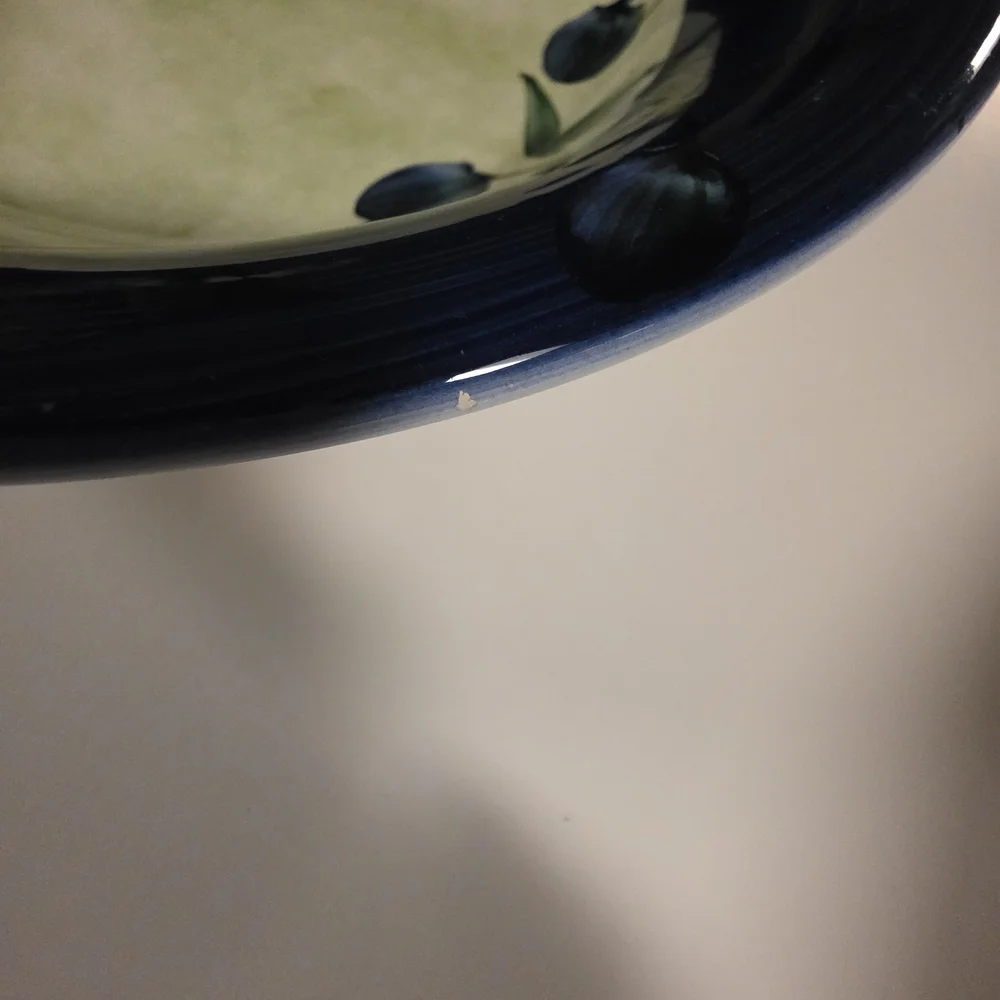 Crate&Barrel Blue and Green Olive Pasta Serving Bowl/2 Pasta Bowls Discontinued